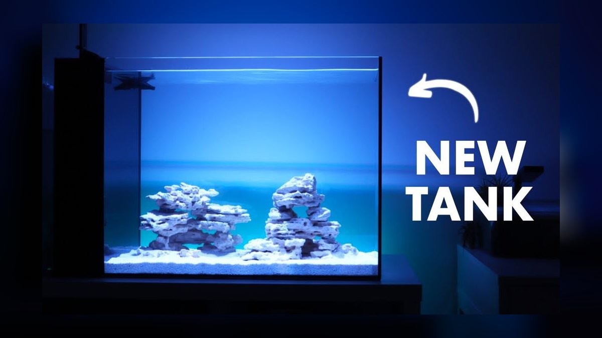 Top 10 Nano Reef Tanks 2026 — Best Overall + Best Value — figure 2