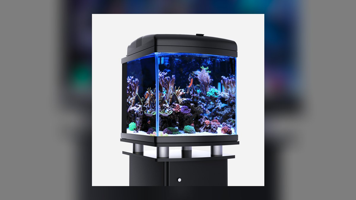 Top 10 Nano Reef Tanks 2026 — Best Overall + Best Value — figure 6