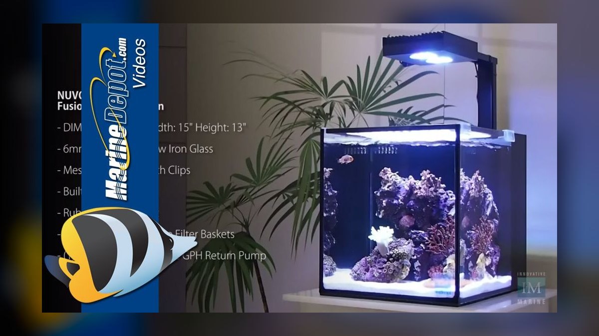 Top 10 Nano Reef Tanks 2026 — Best Overall + Best Value — figure 7