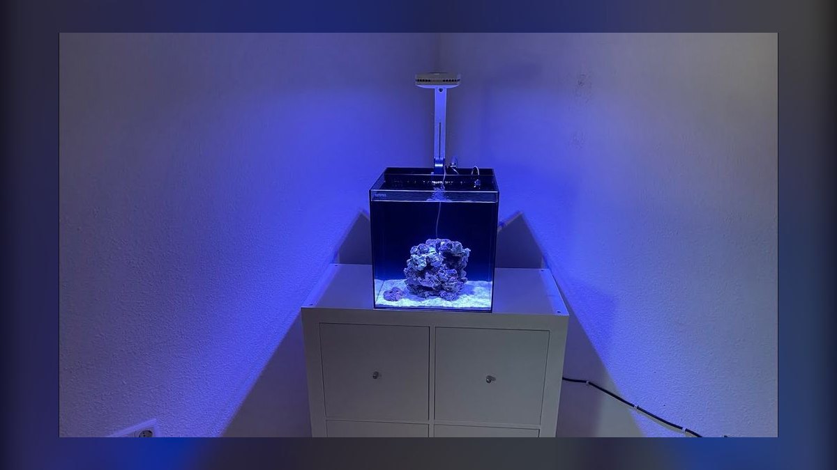 Top 10 Nano Reef Tanks 2026 — Best Overall + Best Value — figure 9