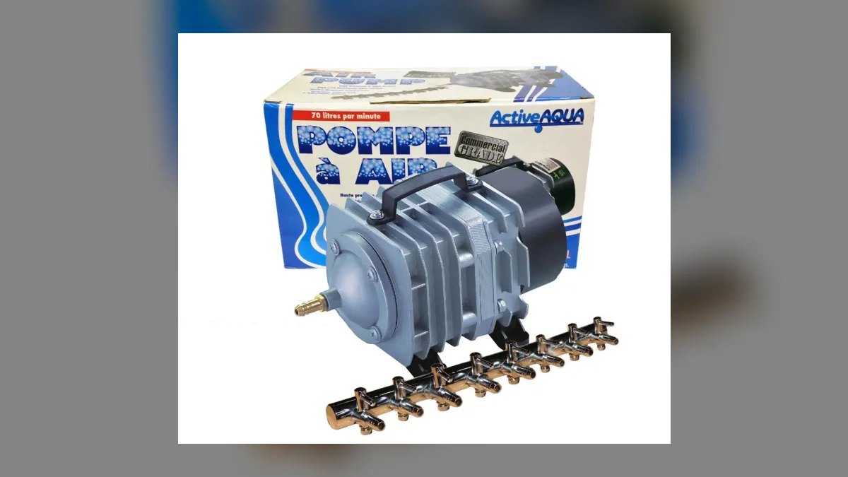 Top 10 Aquarium Air Pumps vs. Piston Pumps for High-Output Sponge Filters in 2027 — figure 10