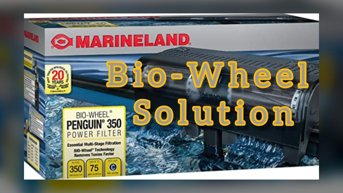Top 10 Hang-on-Back Filters That Replace a Sump in 2027 — figure 5