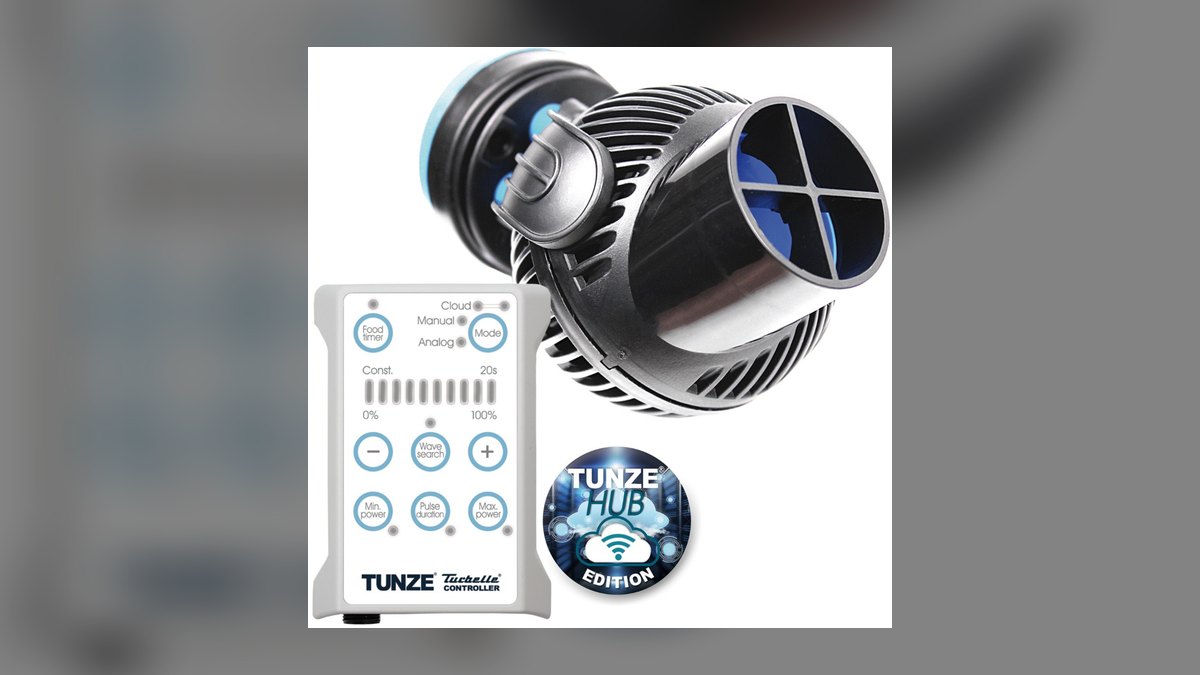 Top 10 Wave Makers 2026 — Best Overall + Best Value — figure 5