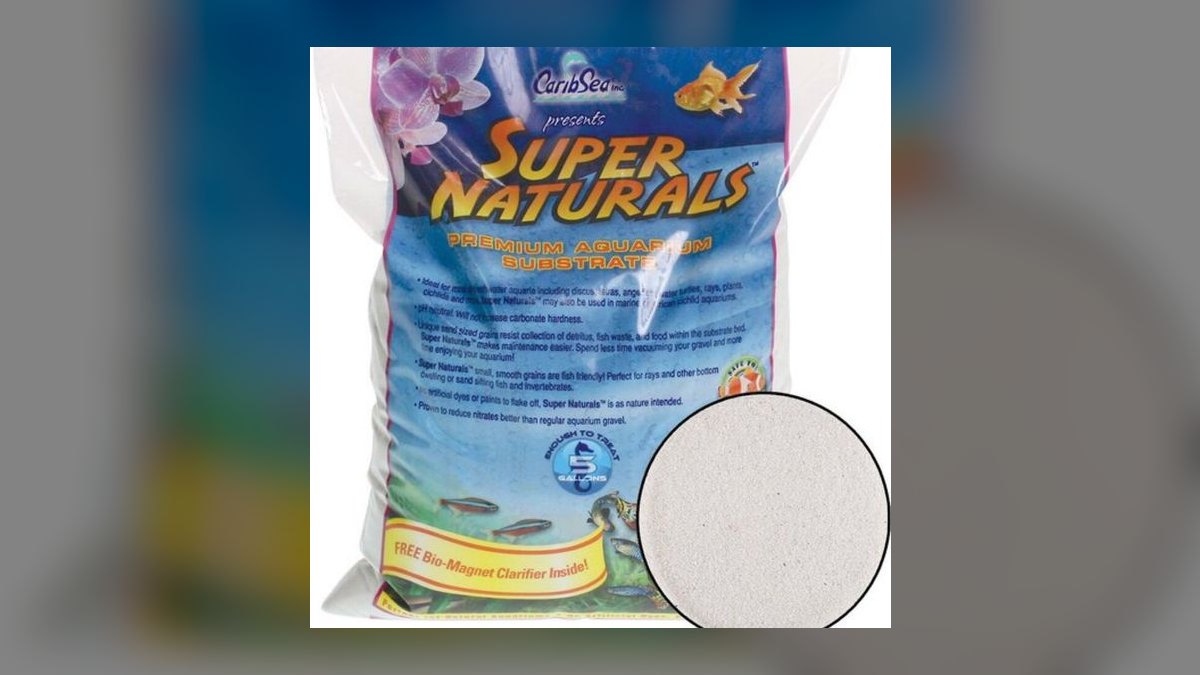 How do I quarantine a fish with ich before adding it to my display tank in 2027 — figure 5