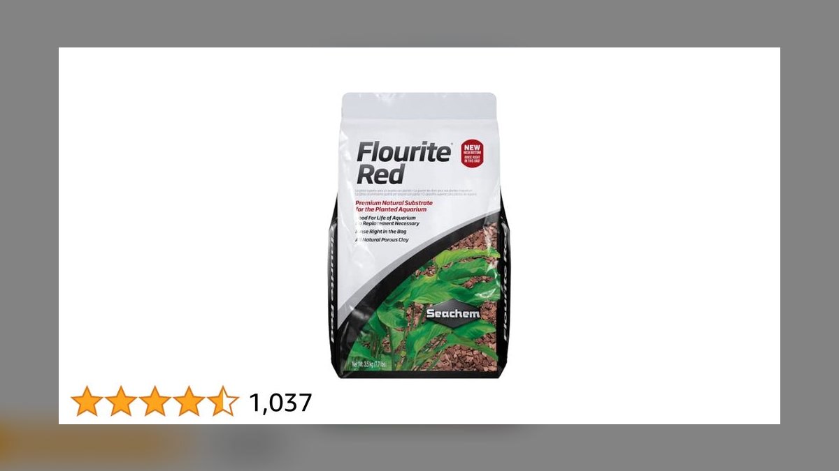 How do I quarantine a fish with ich before adding it to my display tank in 2027 — figure 7