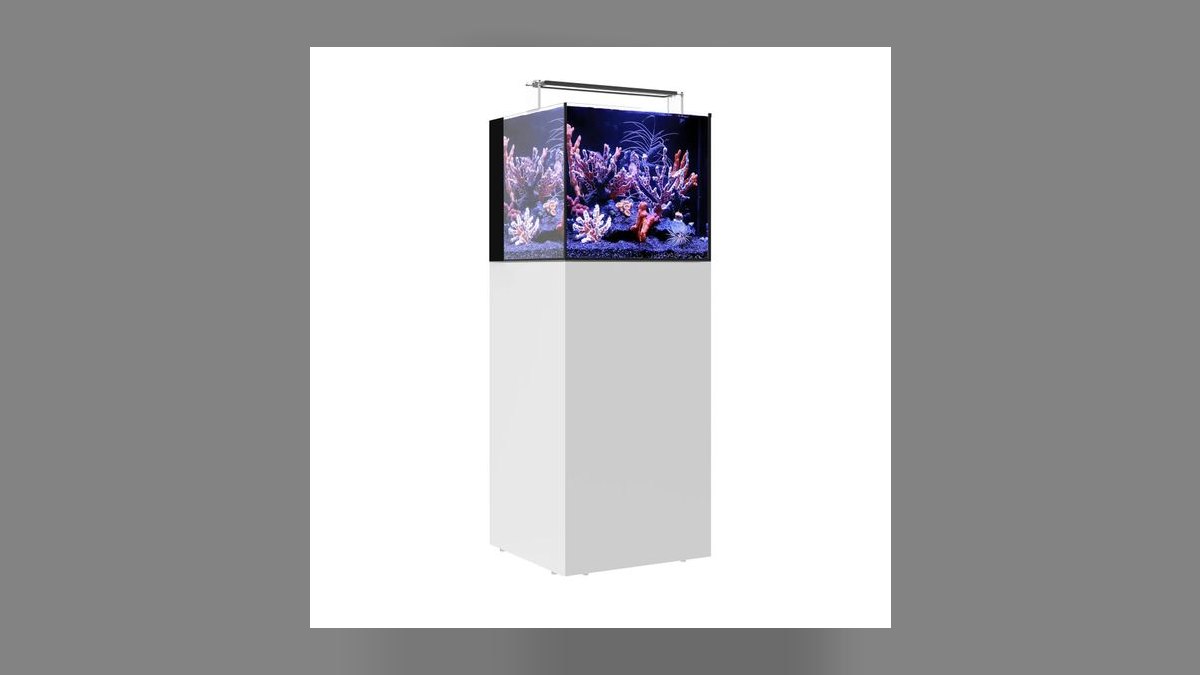 Top 10 All-in-One (AIO) Reef Tanks as Sump Alternatives Under 65 Gallons in 2027 — figure 7