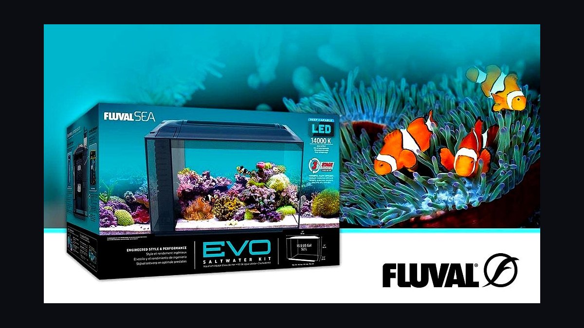Top 10 All-in-One (AIO) Reef Tanks as Sump Alternatives Under 65 Gallons in 2027 — figure 9