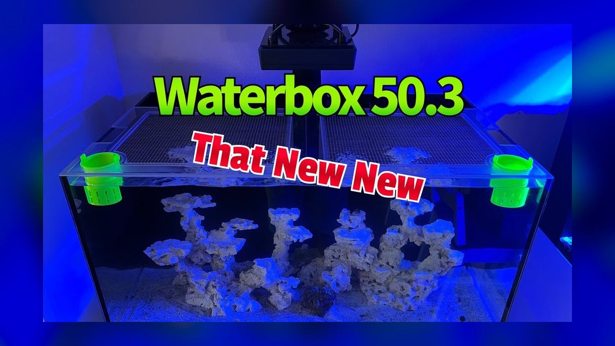Top 10 All-in-One (AIO) Reef Tanks as Sump Alternatives Under 65 Gallons in 2027
