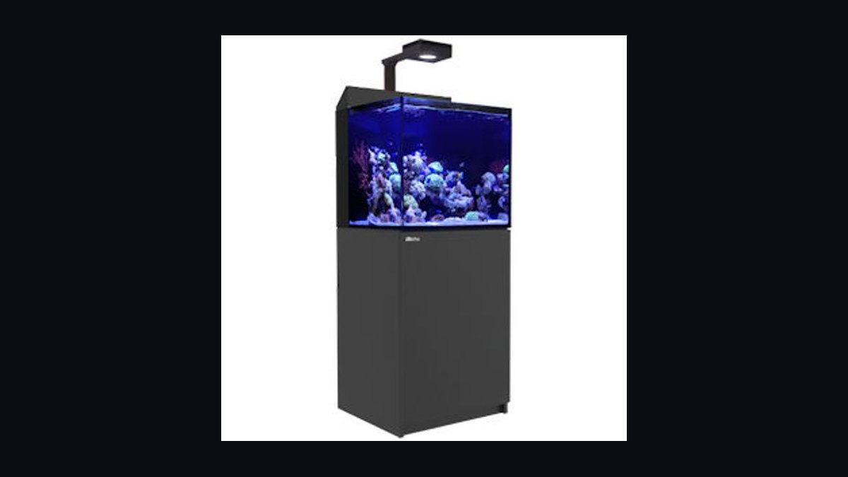 Top 10 All-in-One Reef Aquariums with Built-In Filtration as Sump Alternatives in 2027 — figure 6