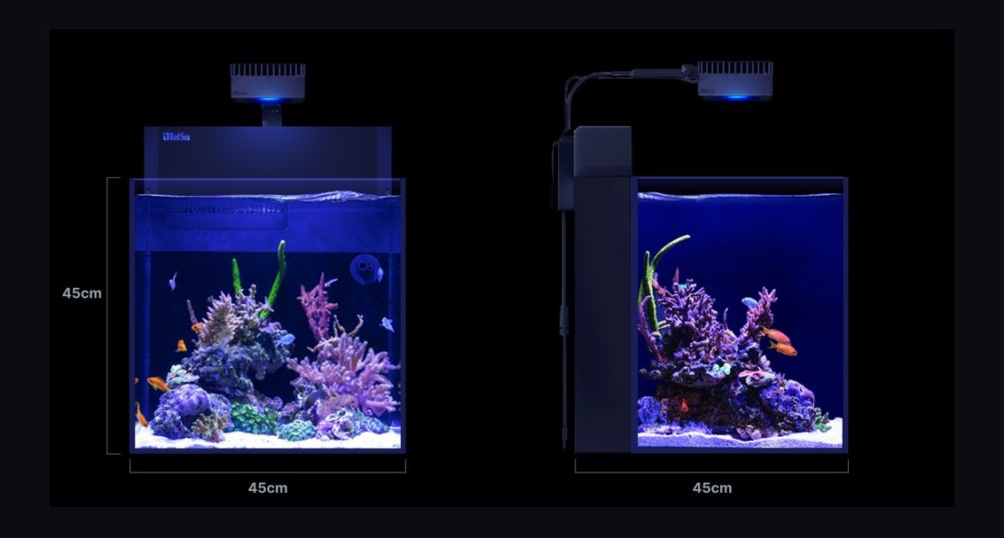 Top 10 All-in-One Reef Aquariums with Built-In Filtration as Sump Alternatives in 2027