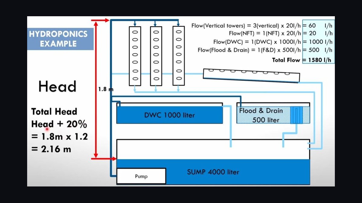 How do you calculate the right sump size for a 75-gallon display tank in 2027 — figure 4