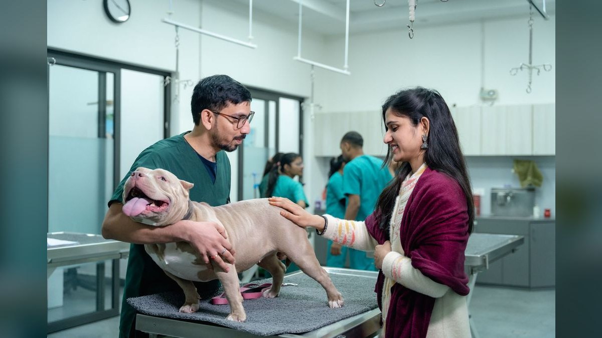 How Do I Budget a Veterinary Clinic Buildout?