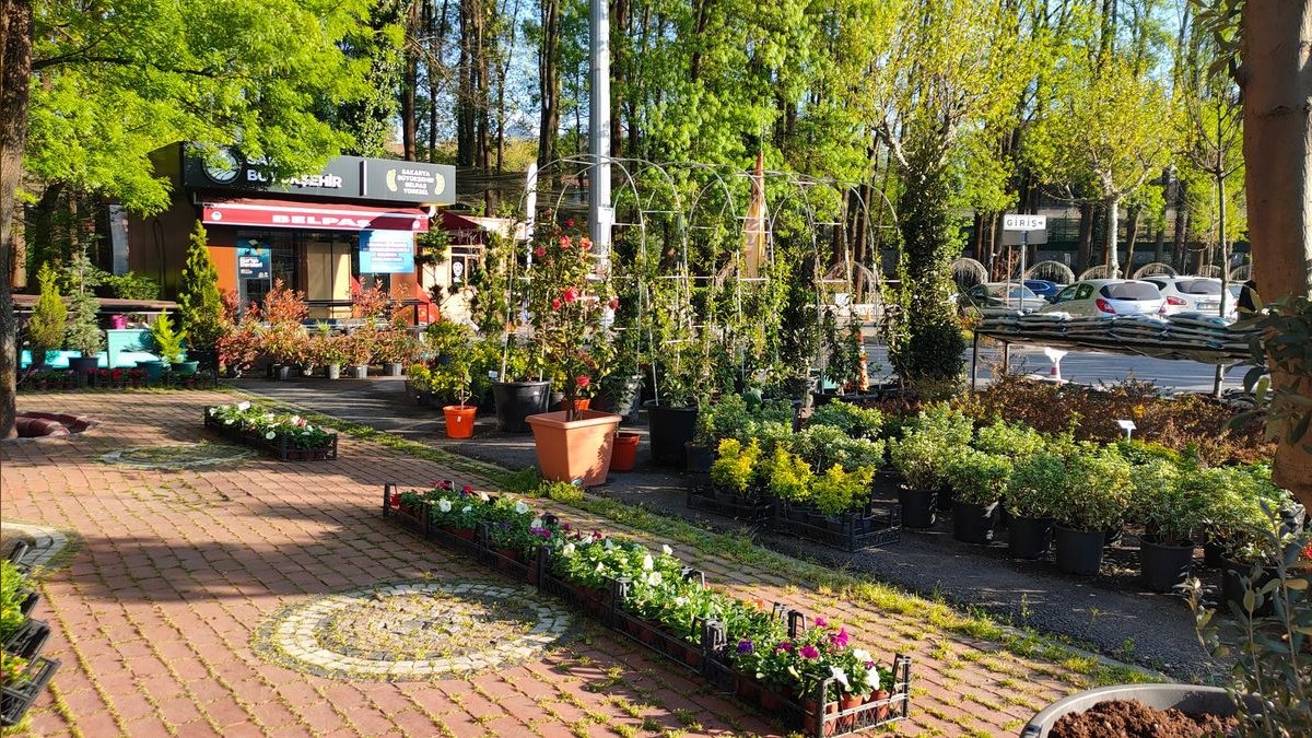 How Do I Budget a Garden Center or Nursery Buildout — figure 4