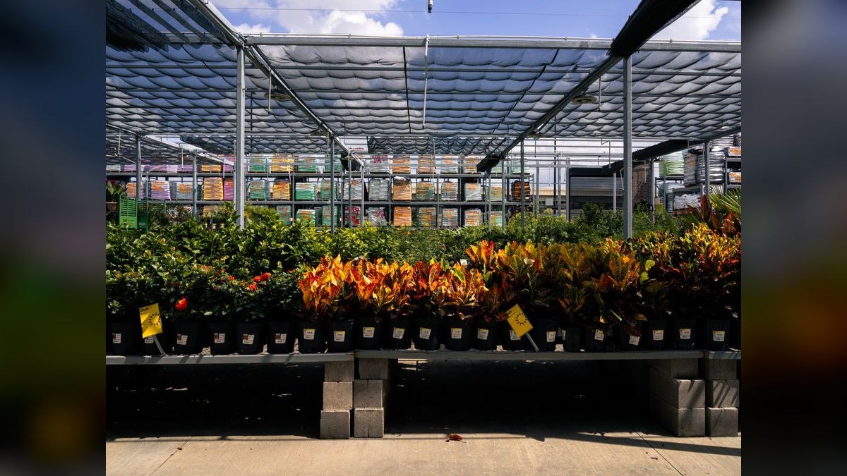 How Do I Budget a Garden Center or Nursery Buildout?