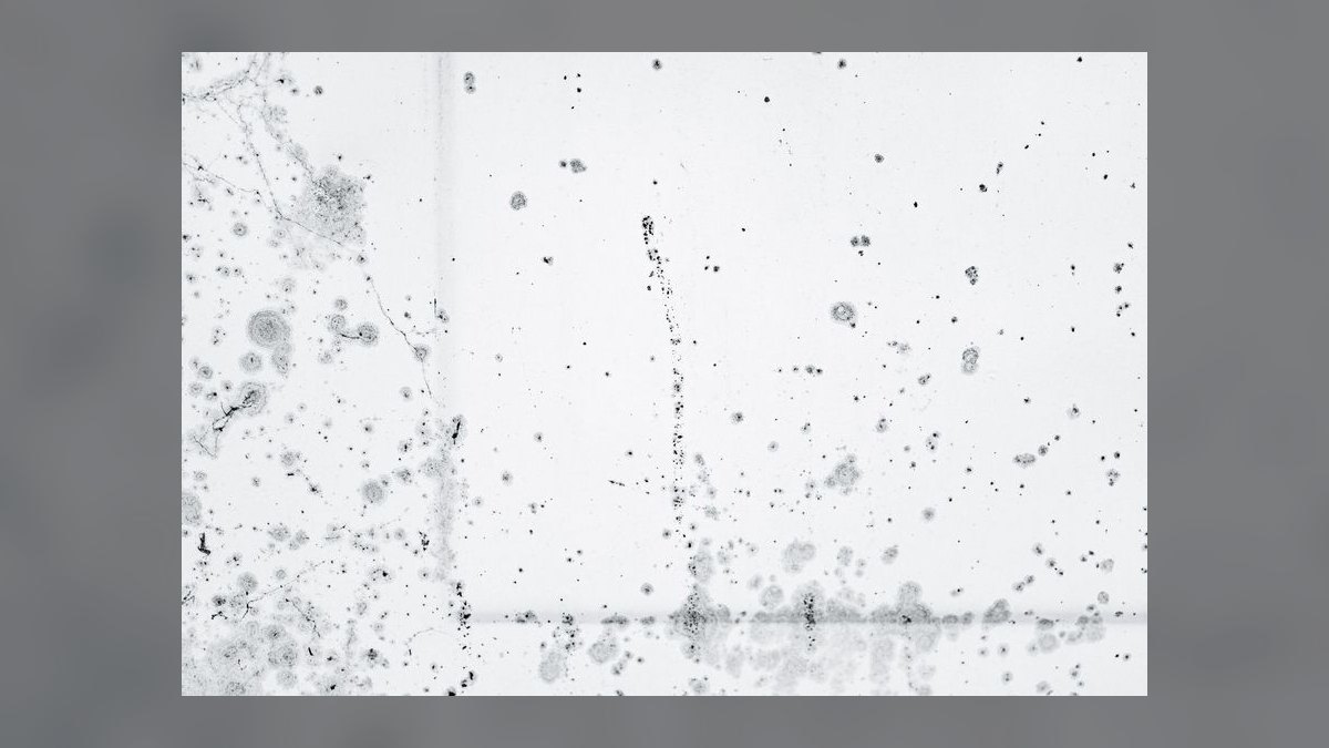 How do I handle asbestos or mold discovered midway through a landlord’s warm shell delivery — figure 9