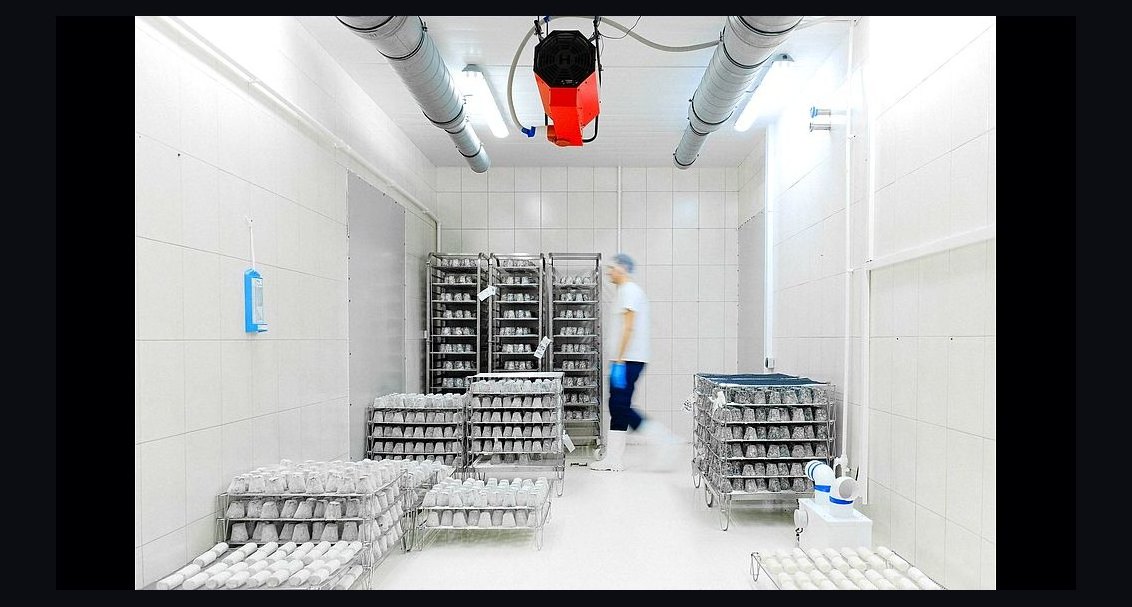What is the average cost per square foot for a cold storage buildout with blast freezer in 2027?