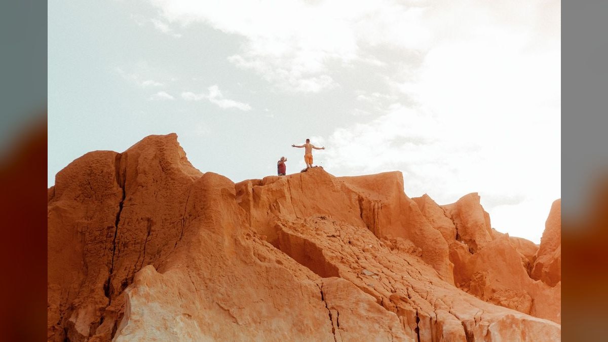 Crossing the Chasm by Geoffrey Moore — Cliff Notes Summary — figure 5