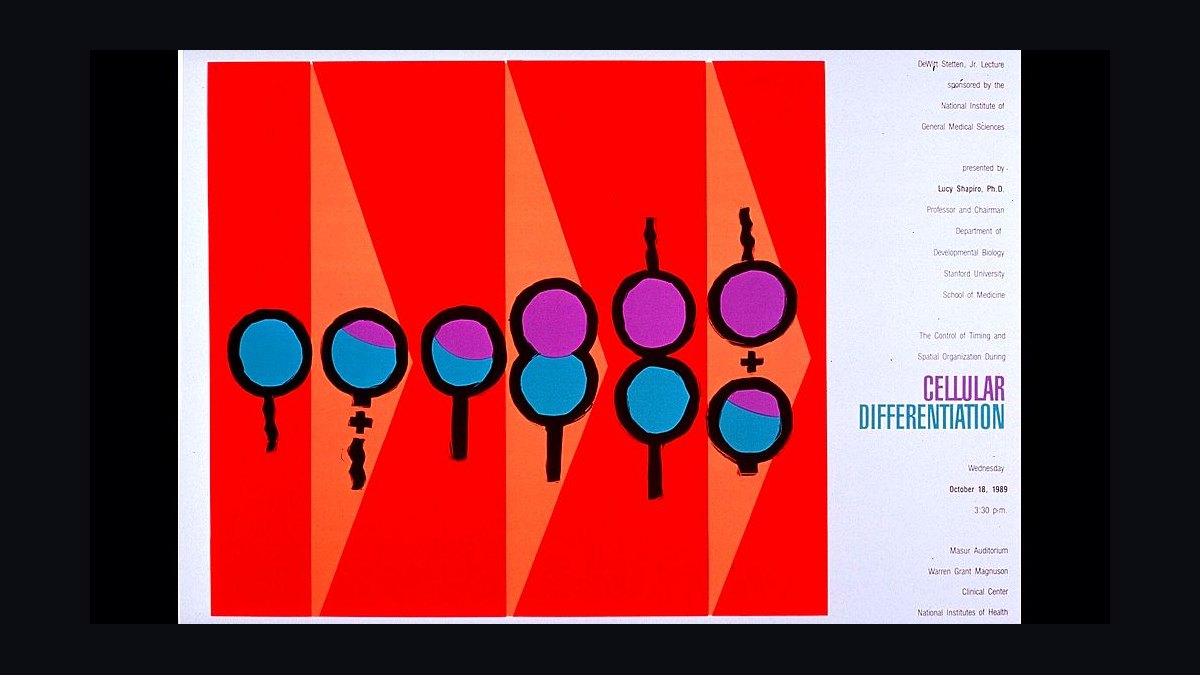 Sales Differentiation by Lee Salz — Cliff Notes Summary