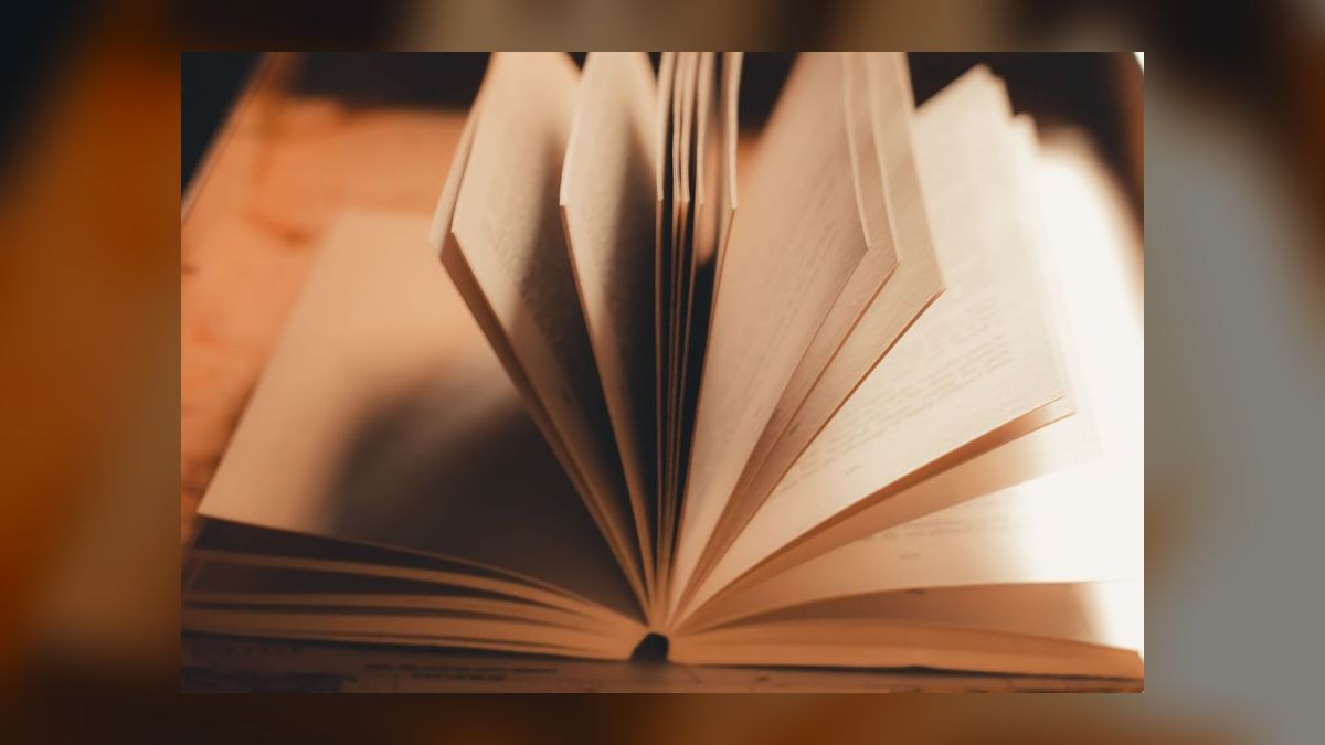 The Snowball System by Mo Bunnell — Cliff Notes Summary — figure 9
