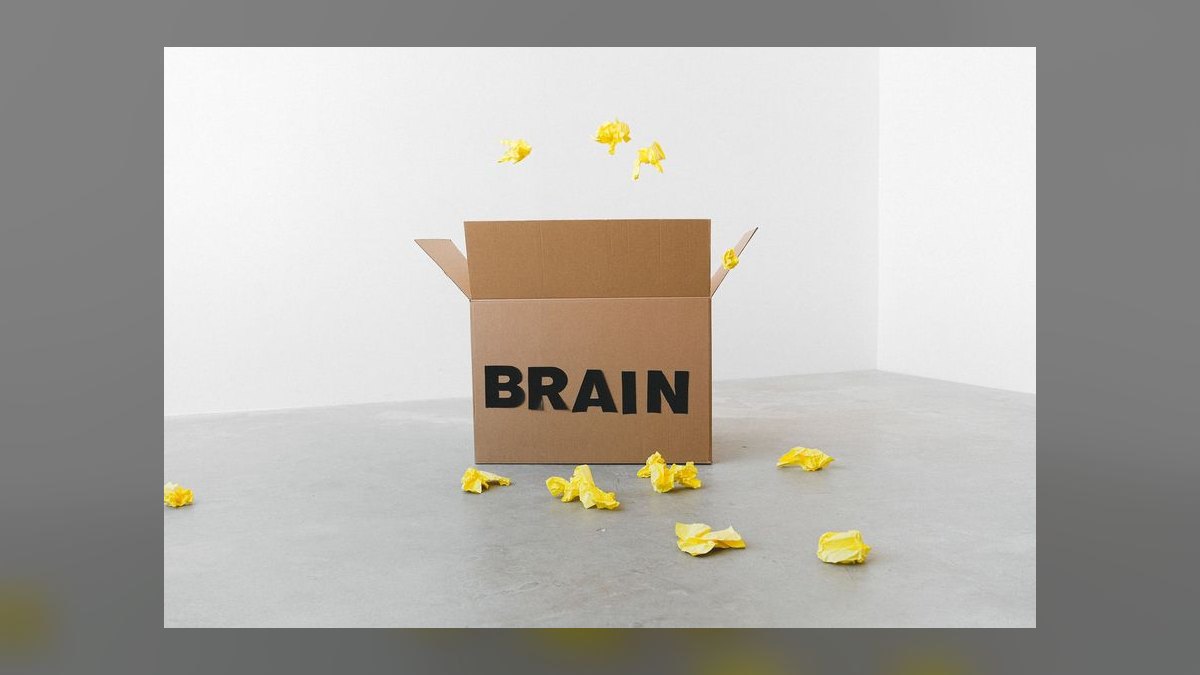 The Brain Audit by Sean D'Souza — Cliff Notes Summary