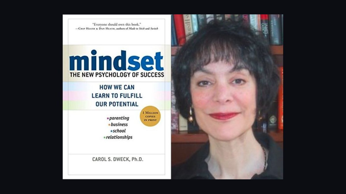 Mindset by Carol Dweck — Cliff Notes Summary for Sales Leaders — figure 8