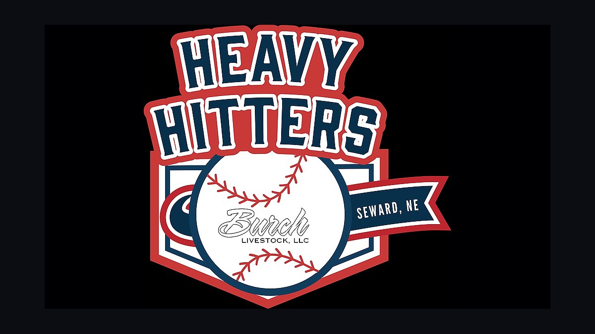 Heavy Hitter Sales Wisdom by Steve W. Martin — Cliff Notes Summary