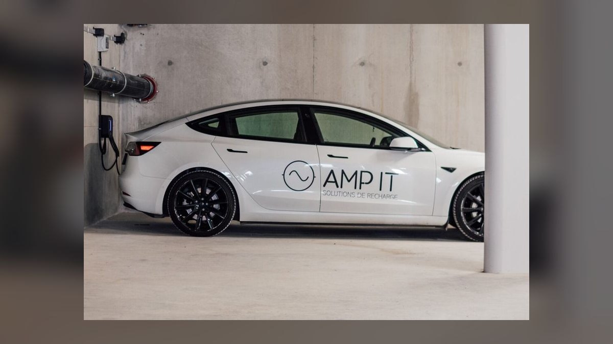 Amp It Up by Frank Slootman — Cliff Notes Summary