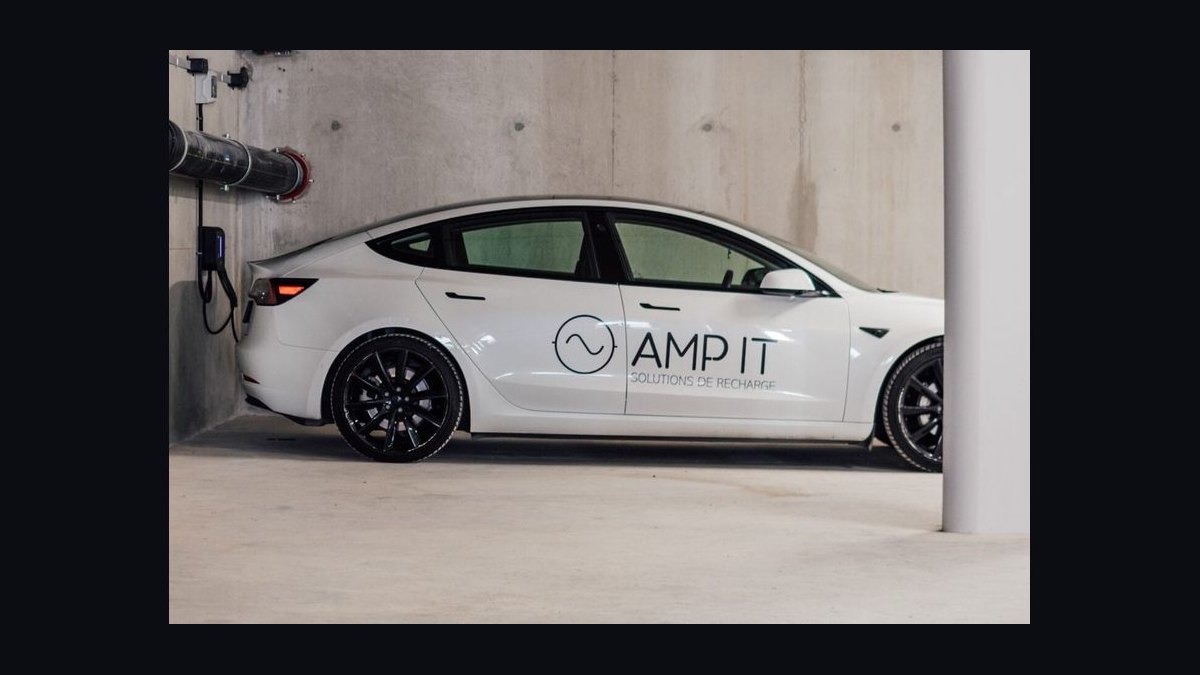 Amp It Up by Frank Slootman — Cliff Notes Summary