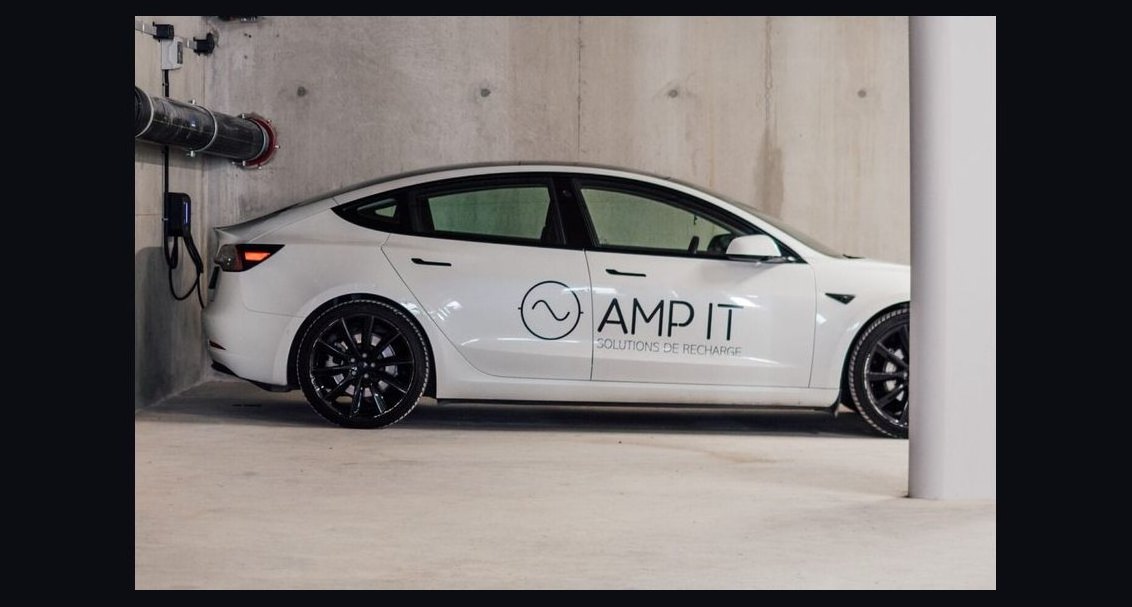 Amp It Up by Frank Slootman — Cliff Notes Summary