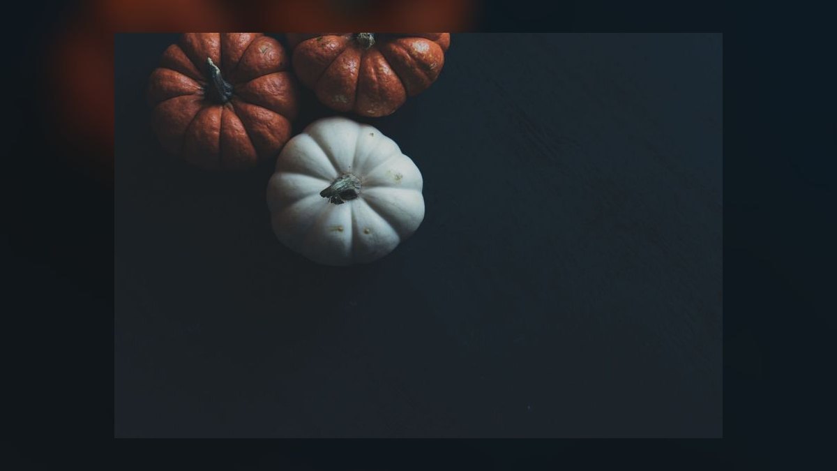 The Pumpkin Plan by Mike Michalowicz — Cliff Notes Summary
