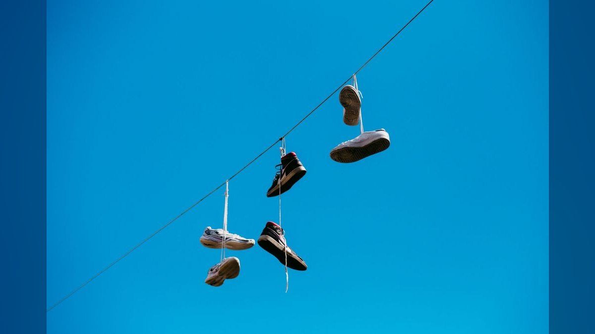 Shoe Dog by Phil Knight — Cliff Notes Summary for Sellers — figure 1