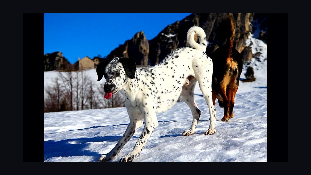 Shoe Dog by Phil Knight — Cliff Notes Summary for Sellers — figure 8