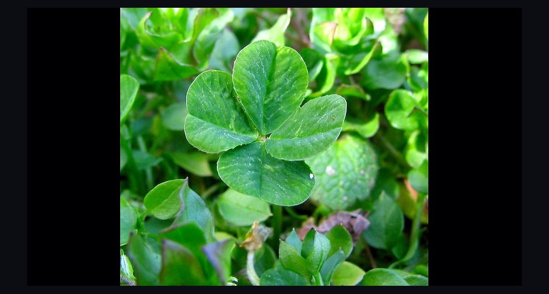 Competing Against Luck by Christensen et al — Cliff Notes Summary