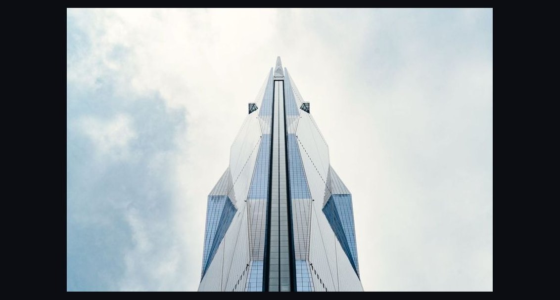 Way of the Wolf by Jordan Belfort — Cliff Notes Summary