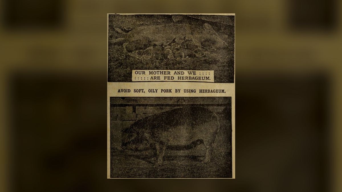 Give and Take by Adam Grant — Cliff Notes Summary