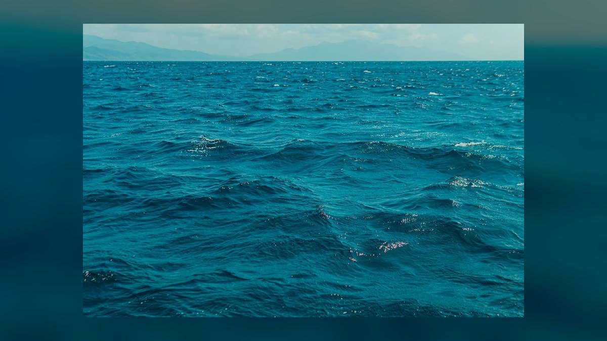Blue Ocean Strategy by W. Chan Kim and Renee Mauborgne — Top 10 Key Takeaways for Sales Leaders in 2027 — figure 2