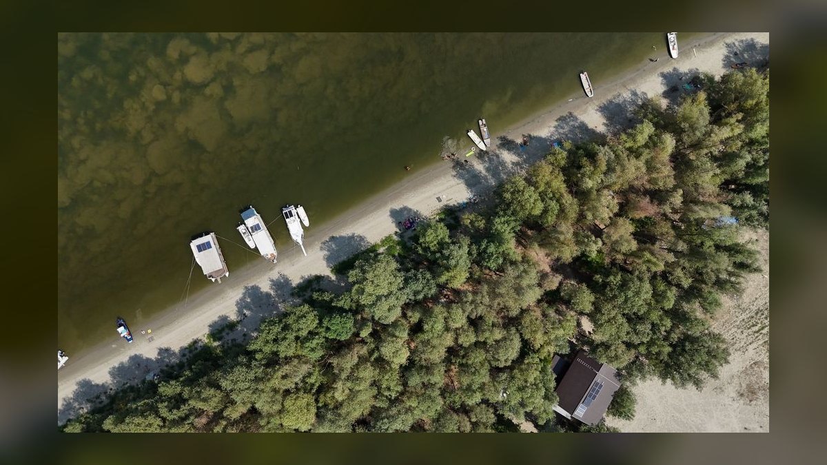Top 10 Cuddy Cabin Boats 2027