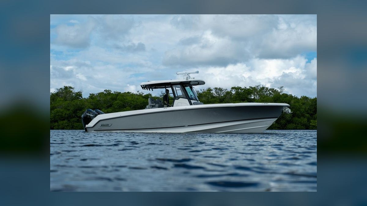 Top 10 Boston Whaler Models 2027 — figure 4