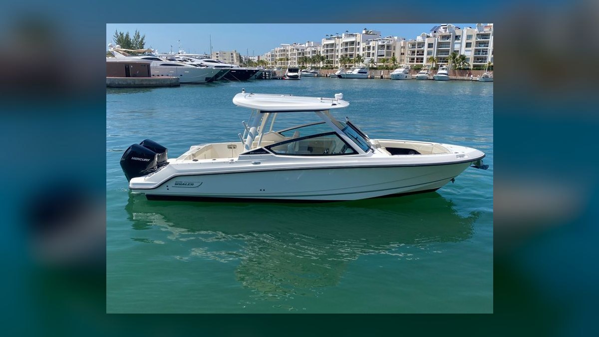 Top 10 Boston Whaler Models 2027 — figure 5