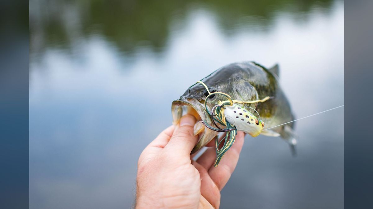 Top 10 Multi-Species Fishing Boats 2027 — figure 3