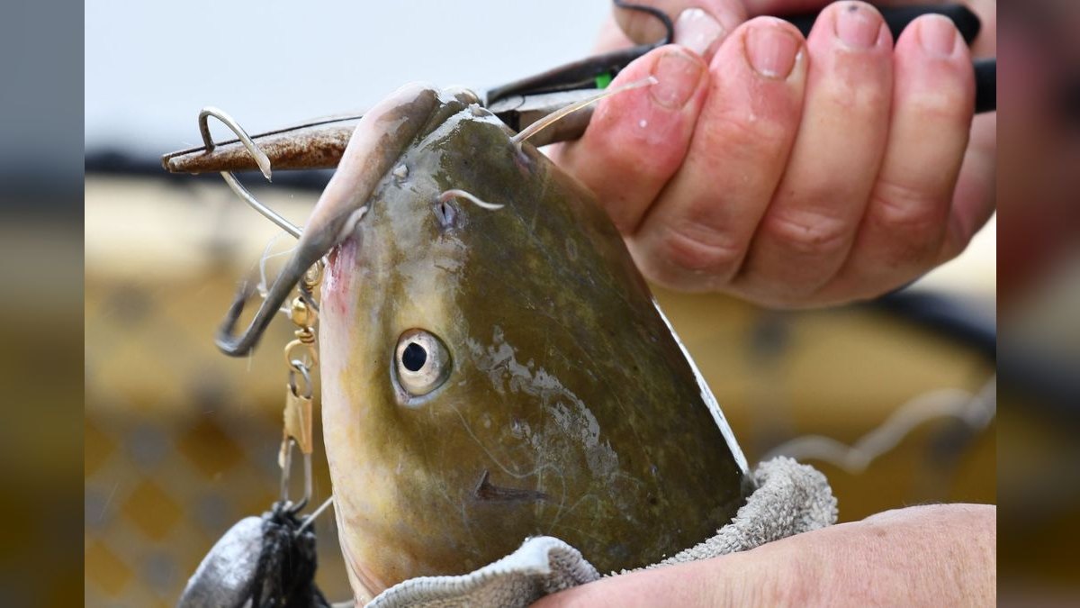 Top 10 Multi-Species Fishing Boats 2027 — figure 4