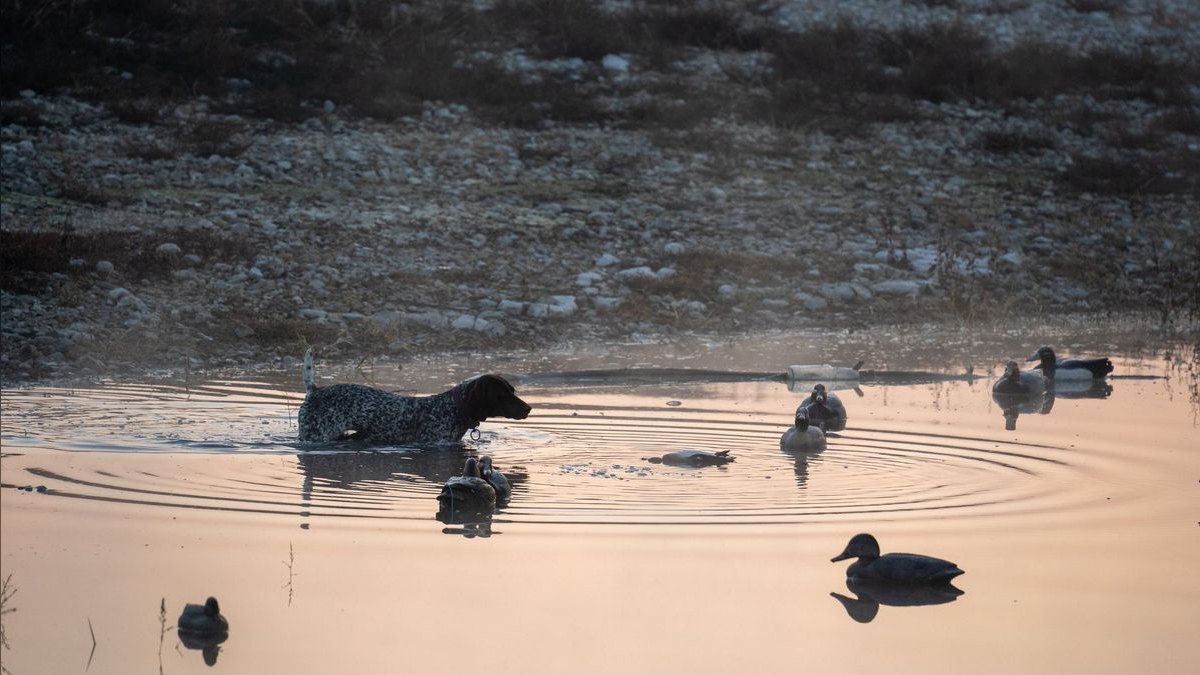Top 10 Duck Hunting Boats 2027 — figure 2