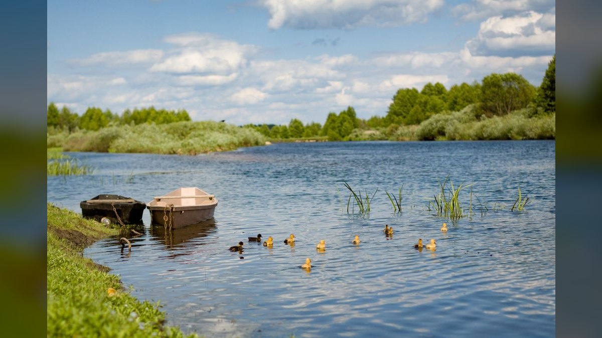 Top 10 Duck Hunting Boats 2027 — figure 4