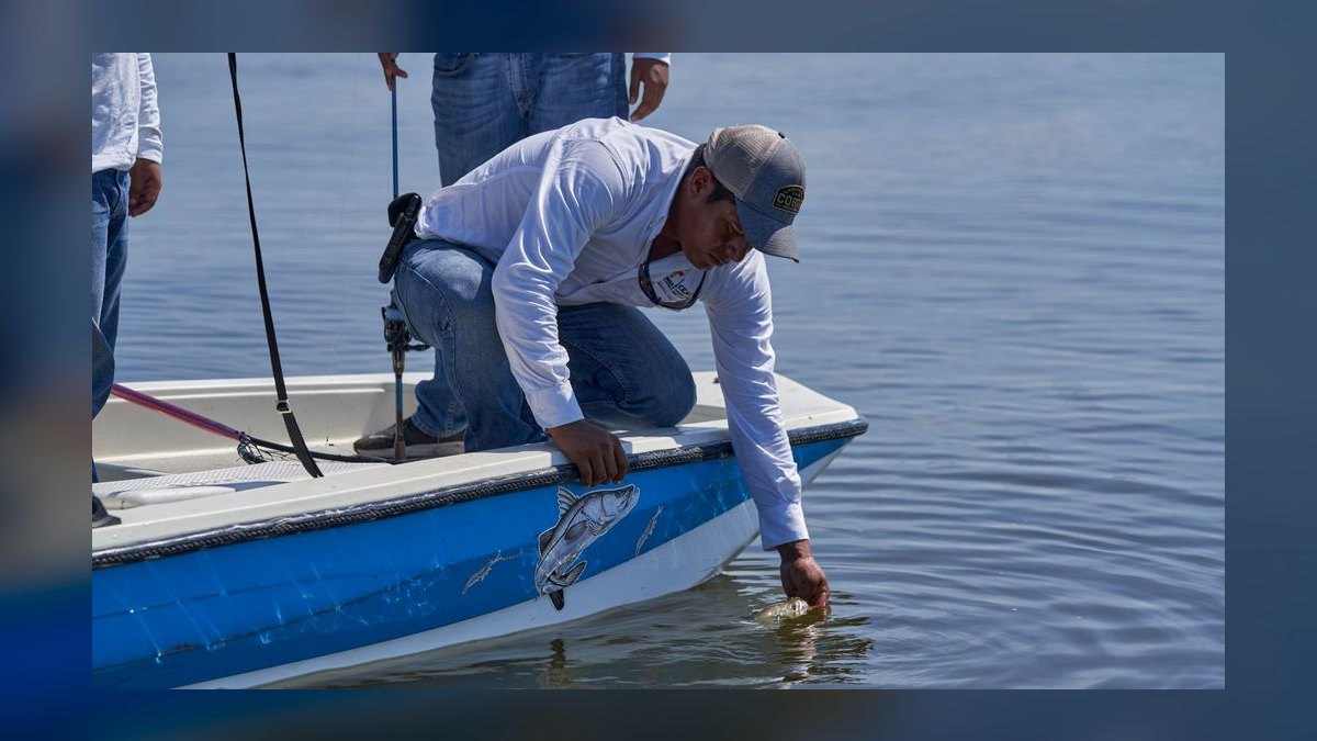 Top 10 Fishing Pontoon Boats 2027 — figure 9