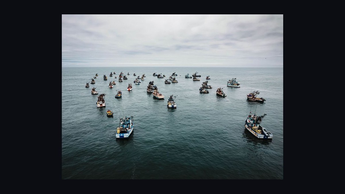 Top 10 Boats for the Pacific Northwest 2027