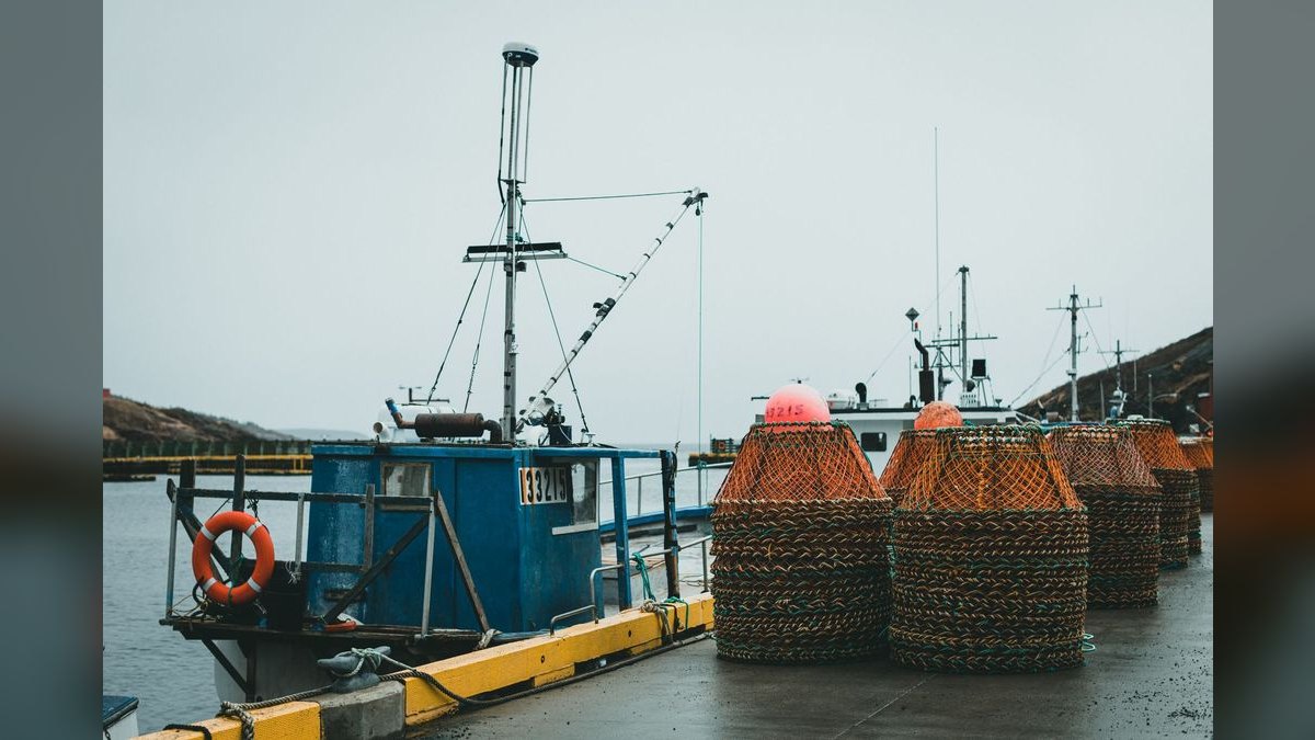 Top 10 Boats for Crabbing 2027 — figure 1