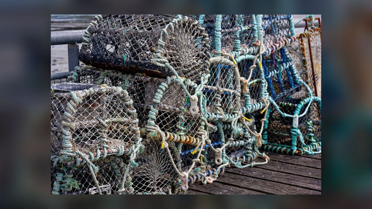 Top 10 Boats for Crabbing 2027 — figure 10