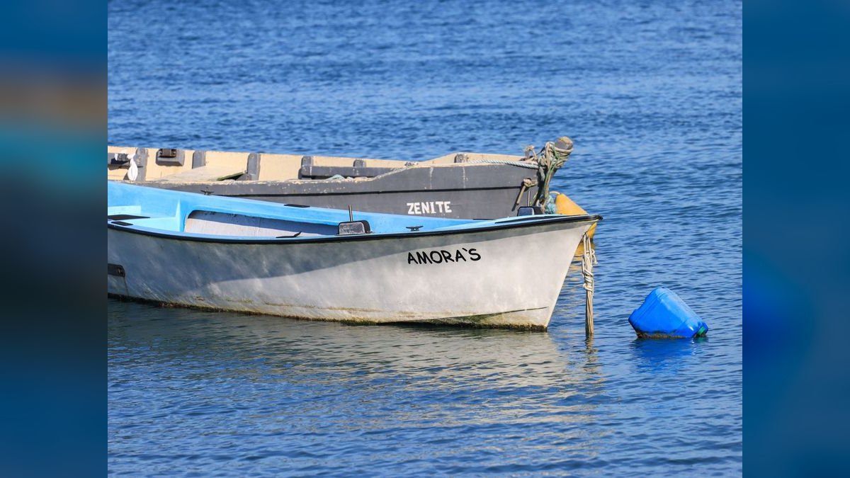 Top 10 Boats for Crabbing 2027 — figure 5