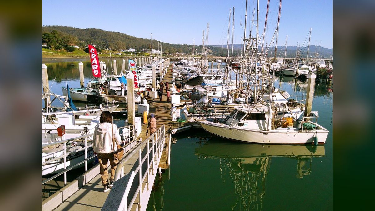Top 10 Boats for Crabbing 2027