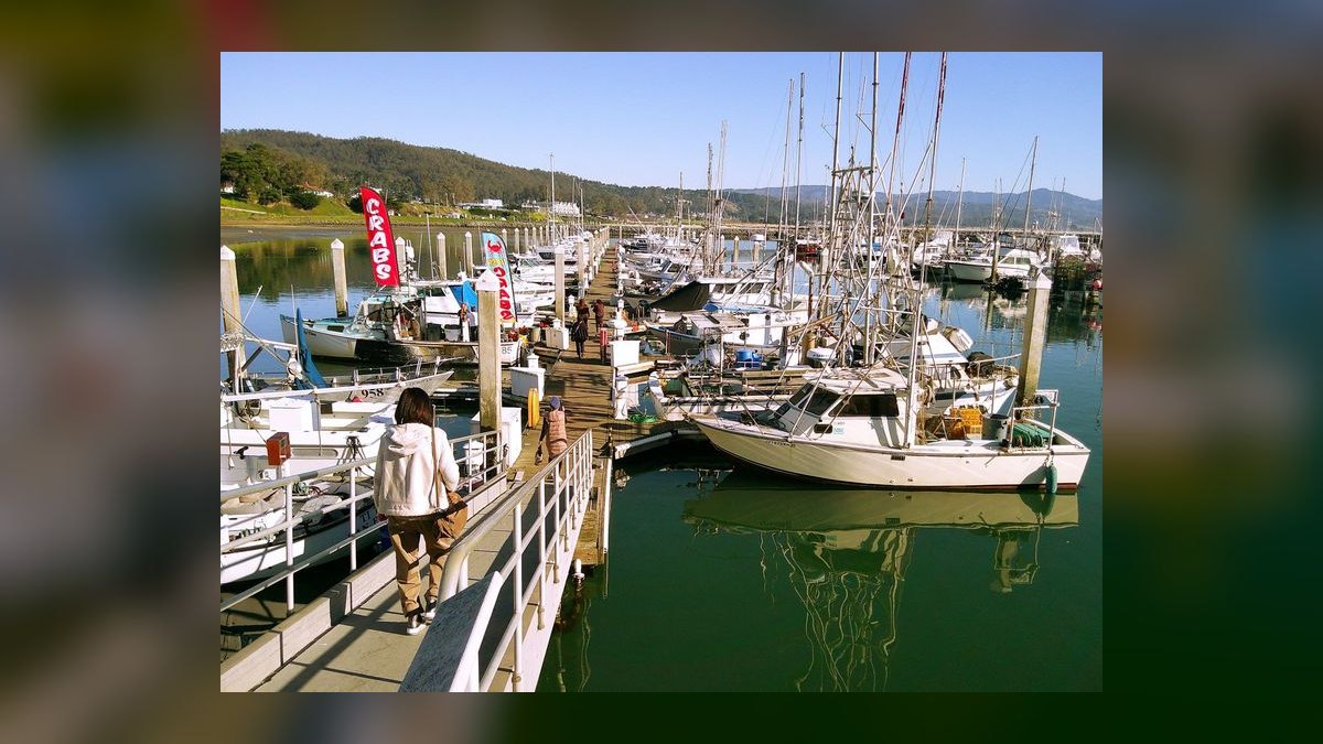 Top 10 Boats for Crabbing 2027